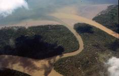 01_Cover_Sematan_Mangrove_creeks.jpg