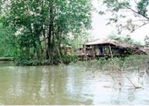 04_New_Colombia.jpg