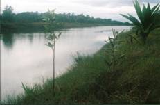 Fig9_3_India_India_Liz_2002.jpg